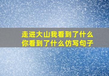 走进大山我看到了什么你看到了什么仿写句子