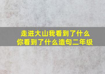 走进大山我看到了什么你看到了什么造句二年级