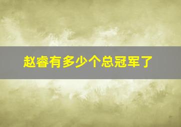 赵睿有多少个总冠军了