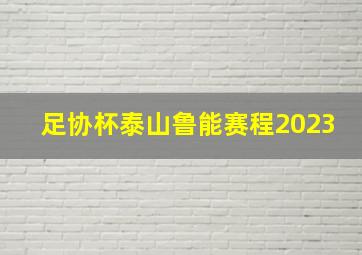 足协杯泰山鲁能赛程2023