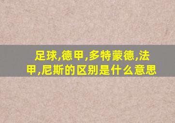 足球,德甲,多特蒙德,法甲,尼斯的区别是什么意思