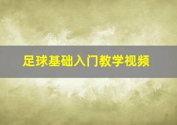 足球基础入门教学视频