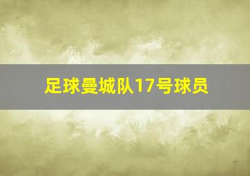 足球曼城队17号球员