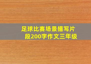 足球比赛场景描写片段200字作文三年级