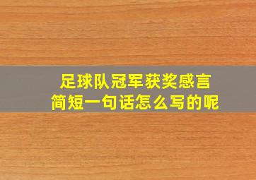 足球队冠军获奖感言简短一句话怎么写的呢