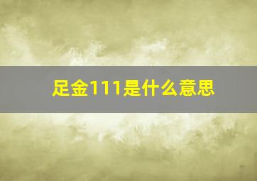 足金111是什么意思