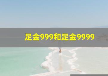 足金999和足金9999