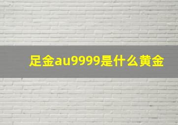 足金au9999是什么黄金