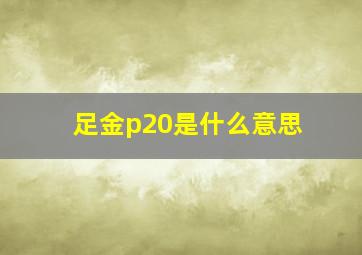 足金p20是什么意思