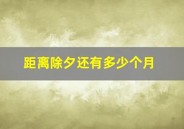 距离除夕还有多少个月