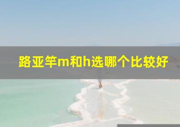 路亚竿m和h选哪个比较好