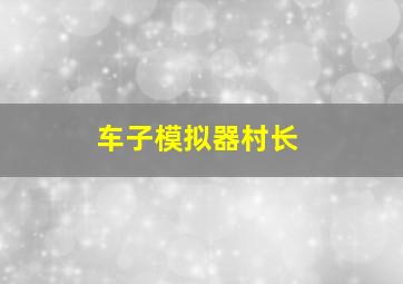 车子模拟器村长