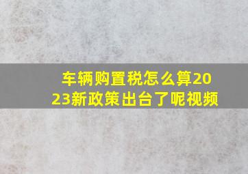 车辆购置税怎么算2023新政策出台了呢视频