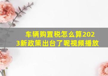 车辆购置税怎么算2023新政策出台了呢视频播放