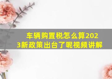 车辆购置税怎么算2023新政策出台了呢视频讲解