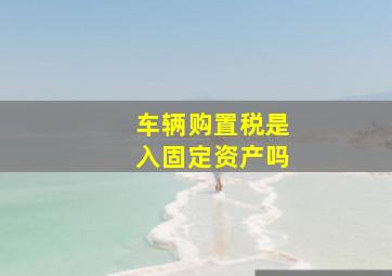 车辆购置税是入固定资产吗