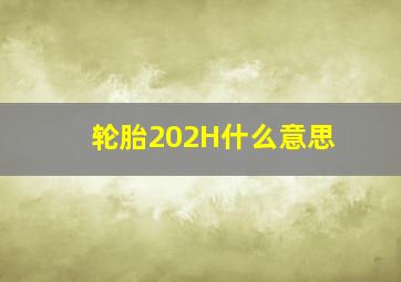 轮胎202H什么意思