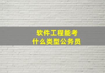 软件工程能考什么类型公务员