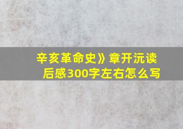 辛亥革命史》章开沅读后感300字左右怎么写