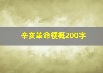 辛亥革命梗概200字