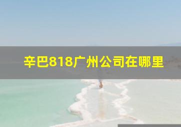 辛巴818广州公司在哪里