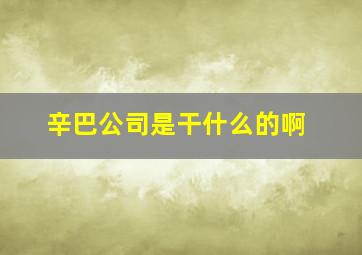 辛巴公司是干什么的啊