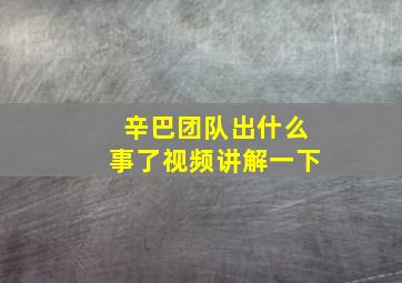 辛巴团队出什么事了视频讲解一下