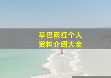 辛巴网红个人资料介绍大全