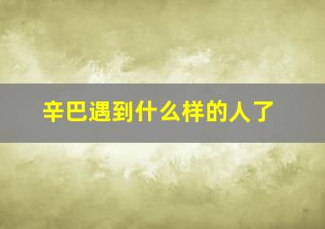 辛巴遇到什么样的人了