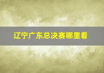 辽宁广东总决赛哪里看