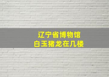 辽宁省博物馆白玉猪龙在几楼