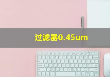 过滤器0.45um