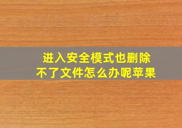 进入安全模式也删除不了文件怎么办呢苹果