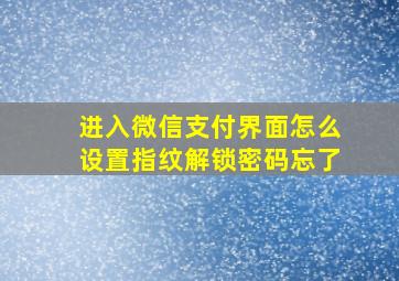 进入微信支付界面怎么设置指纹解锁密码忘了