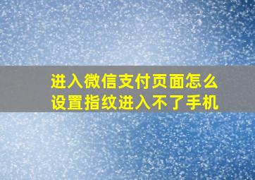 进入微信支付页面怎么设置指纹进入不了手机