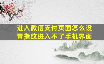 进入微信支付页面怎么设置指纹进入不了手机界面