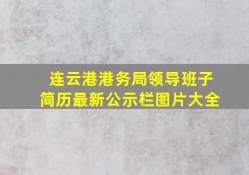 连云港港务局领导班子简历最新公示栏图片大全