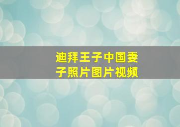 迪拜王子中国妻子照片图片视频