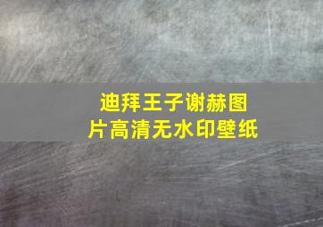 迪拜王子谢赫图片高清无水印壁纸