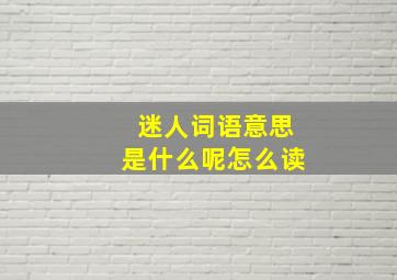 迷人词语意思是什么呢怎么读