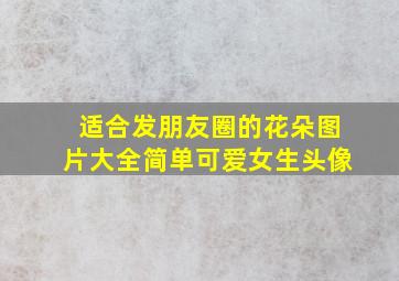 适合发朋友圈的花朵图片大全简单可爱女生头像