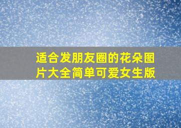 适合发朋友圈的花朵图片大全简单可爱女生版