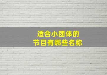 适合小团体的节目有哪些名称