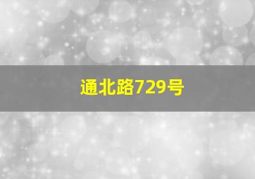 通北路729号