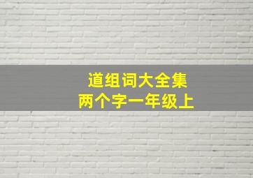 道组词大全集两个字一年级上