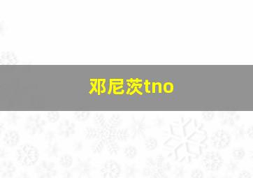 邓尼茨tno