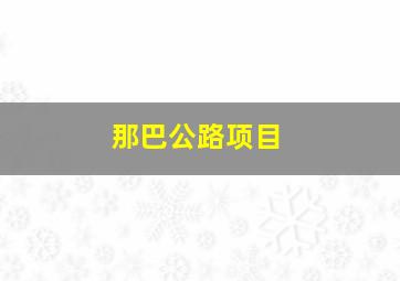 那巴公路项目