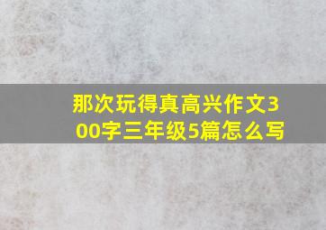 那次玩得真高兴作文300字三年级5篇怎么写