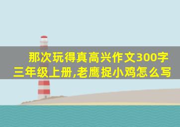 那次玩得真高兴作文300字三年级上册,老鹰捉小鸡怎么写