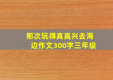 那次玩得真高兴去海边作文300字三年级